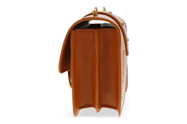 Сумка женская PINKO Bird Bag коричневая