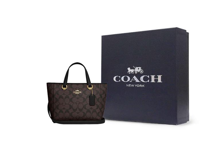 Мини сумка женская COACH Alice Iconic коричневая и черная