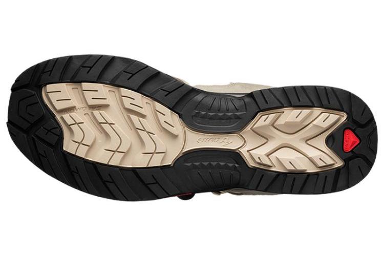 Треккинговые кроссовки унисекс SALOMON XT Quest 2 taupe, 42 EU