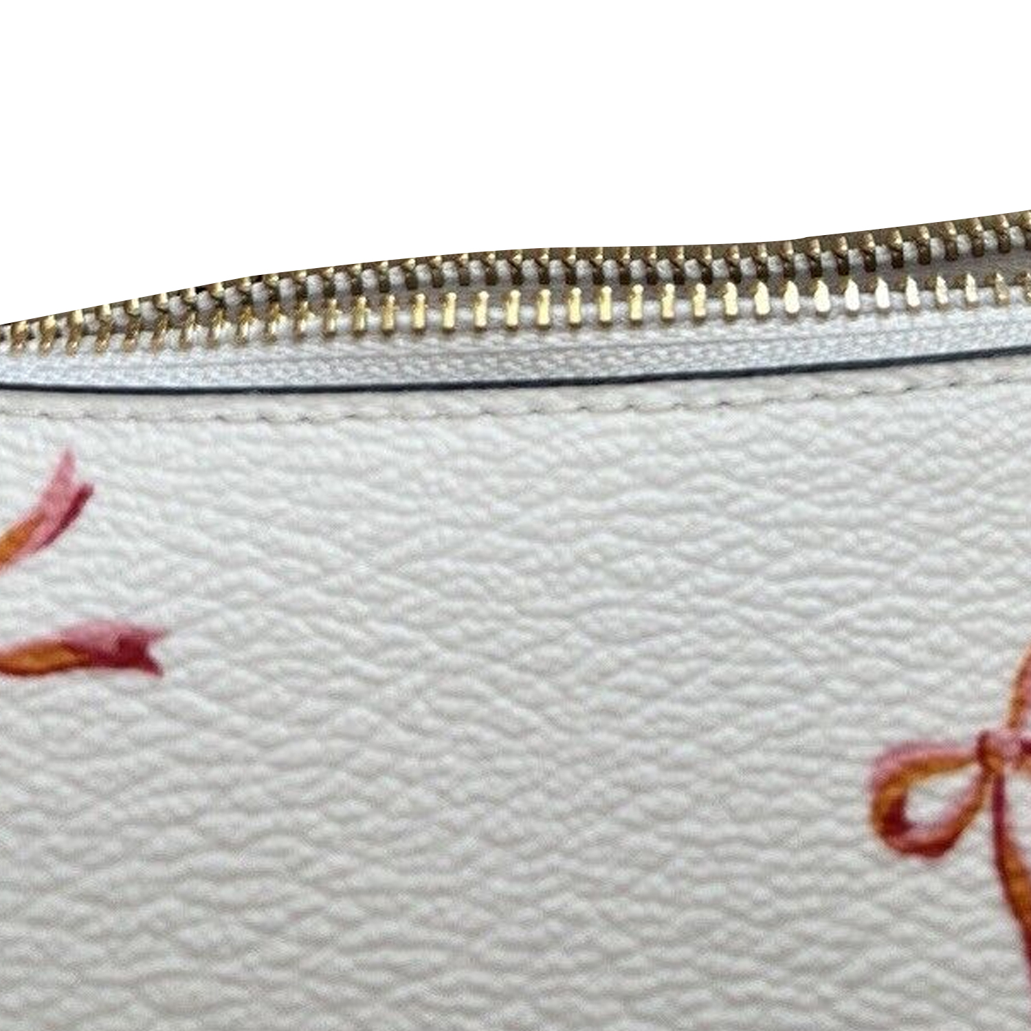 Сумка женская COACH Payton Canvas With Leather Crescent Bag Chalk & Burgundy Multicolor, Basic Set (Bag+Dust Bag) EU