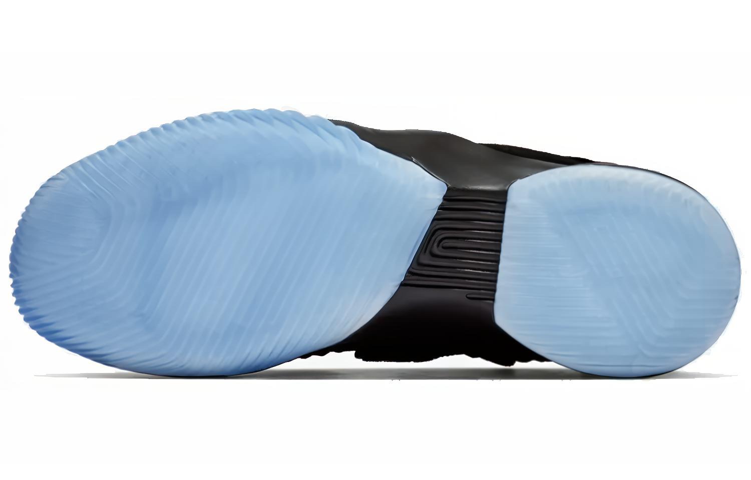 Баскетбольные кроссовки мужские Nike LeBron Soldier 12 FlyEase черные, 42 EU