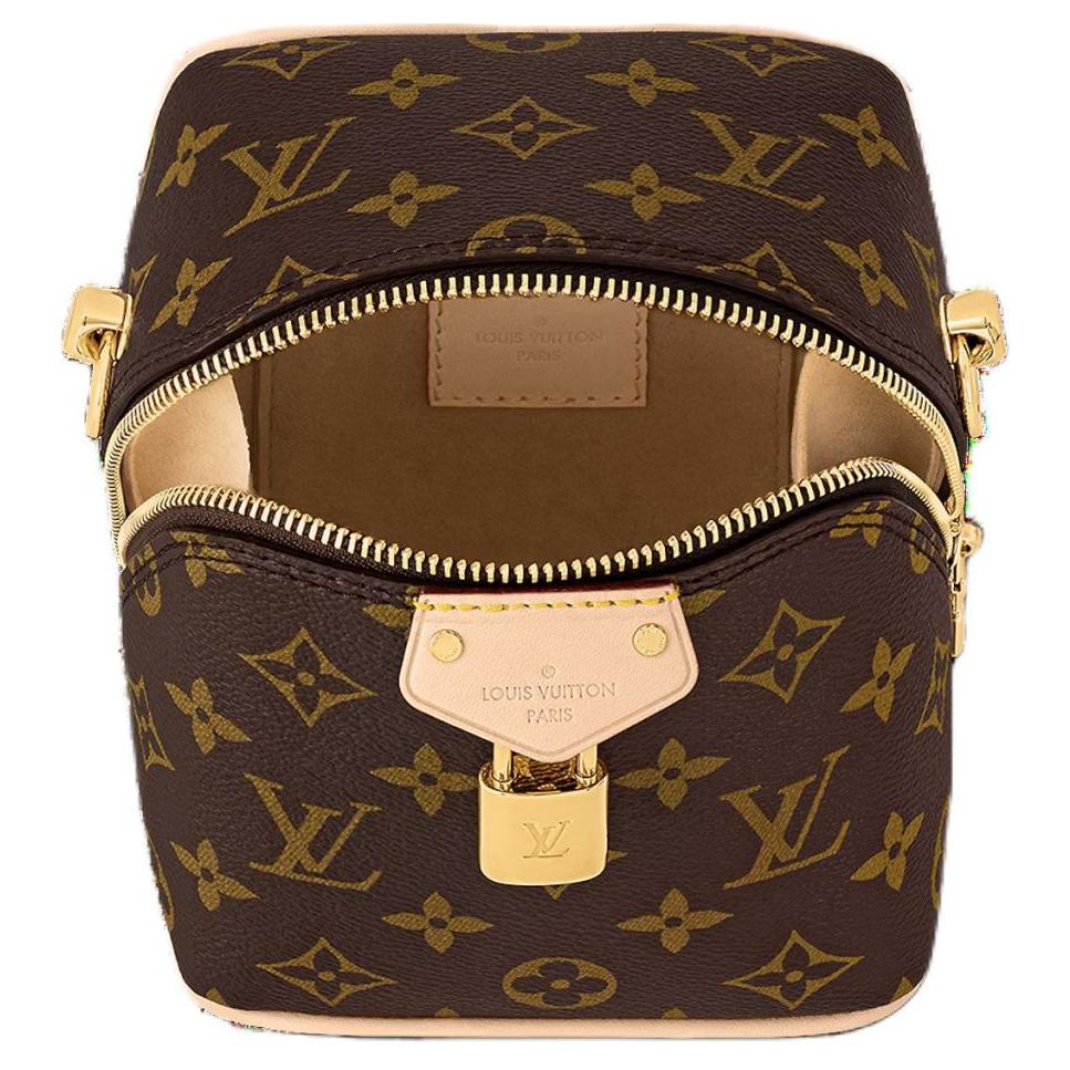 Сумка женская LOUIS VUITTON Just In Case Monogram, brown-gold
