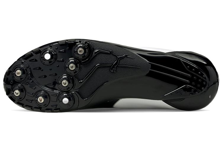 Футбольные бутсы PUMA EvoSPEED Prep Sprint 2 белые и черные, 40 EU