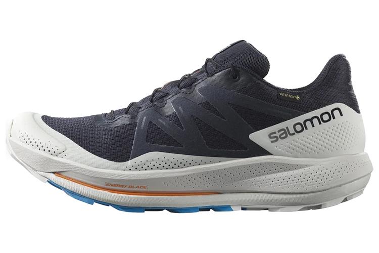 Кроссовки мужские SALOMON Pulsar Trail GTX, night sky, 46 2/3 EU