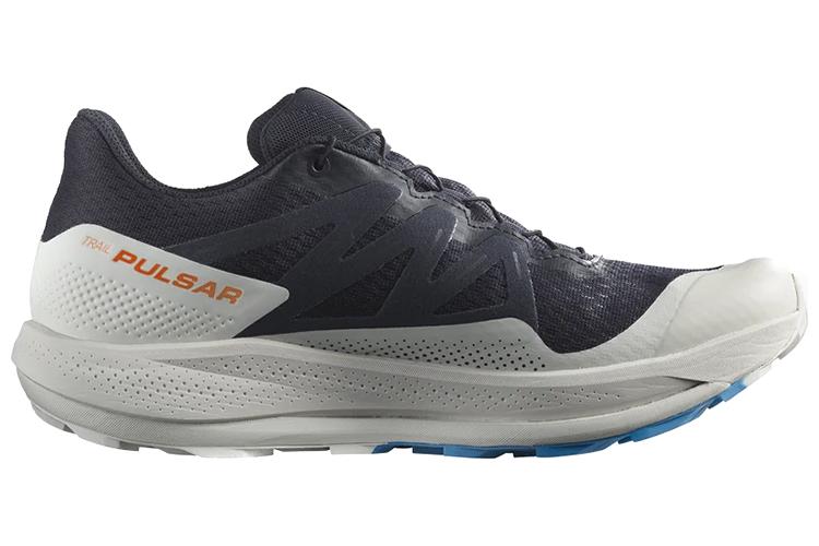 Кроссовки мужские SALOMON Pulsar Trail GTX, night sky, 46 2/3 EU