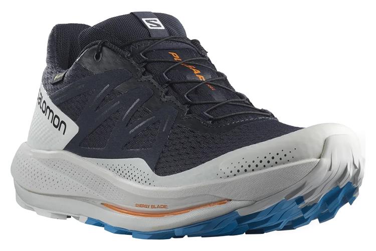 Кроссовки мужские SALOMON Pulsar Trail GTX, night sky, 46 2/3 EU