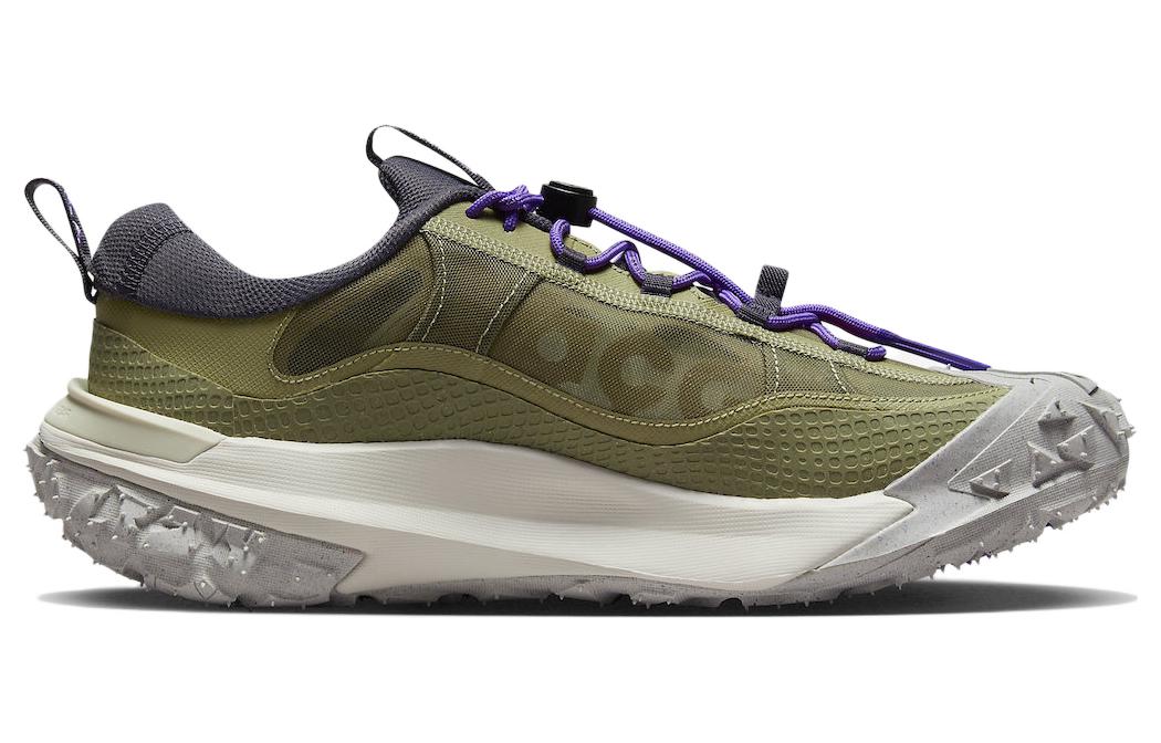 Спортивные ботинки мужские Nike ACG Mountain Fly 2 Low, 40 EU