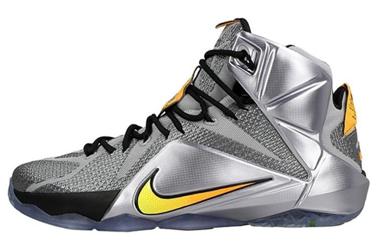 Кроссовки мужские Nike LeBron 12 'Flight' серые, 44 EU