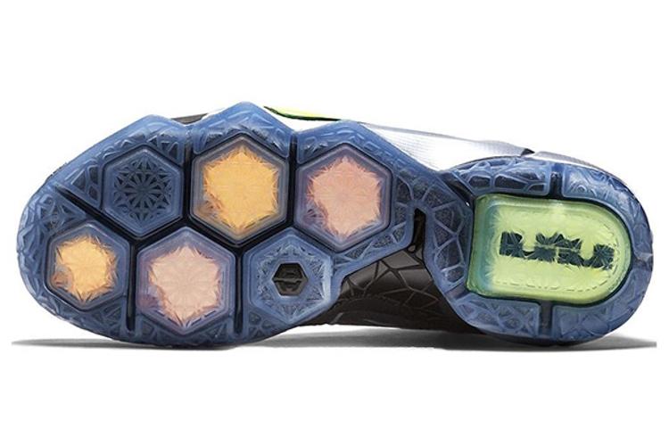 Кроссовки мужские Nike LeBron 12 'Flight' серые, 44 EU