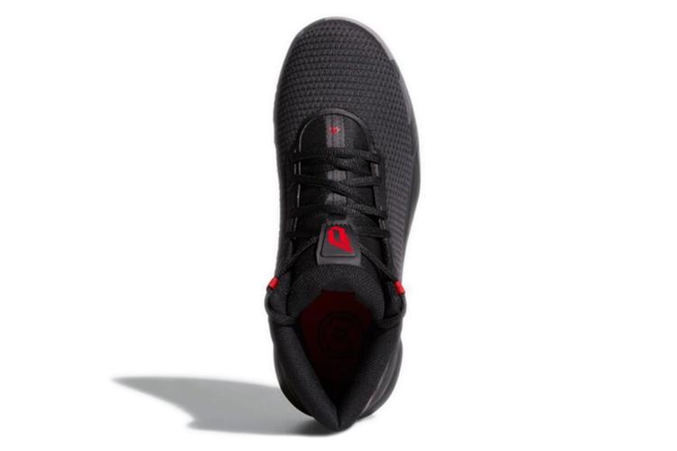 Баскетбольные кроссовки мужские Adidas D Lillard Brookfield черные, 45 1/3 EU