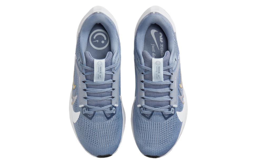 Кроссовки женские Nike Air Zoom Pegasus 40 Premium серо-голубые, 42 EU
