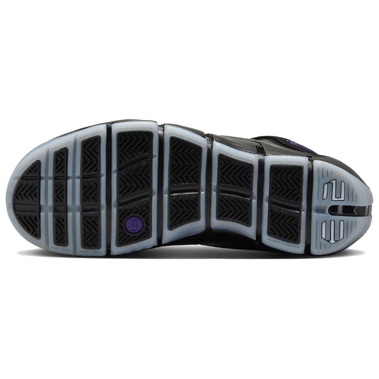 Кроссовки мужские Nike LeBron 4 баклажановые, 43 EU