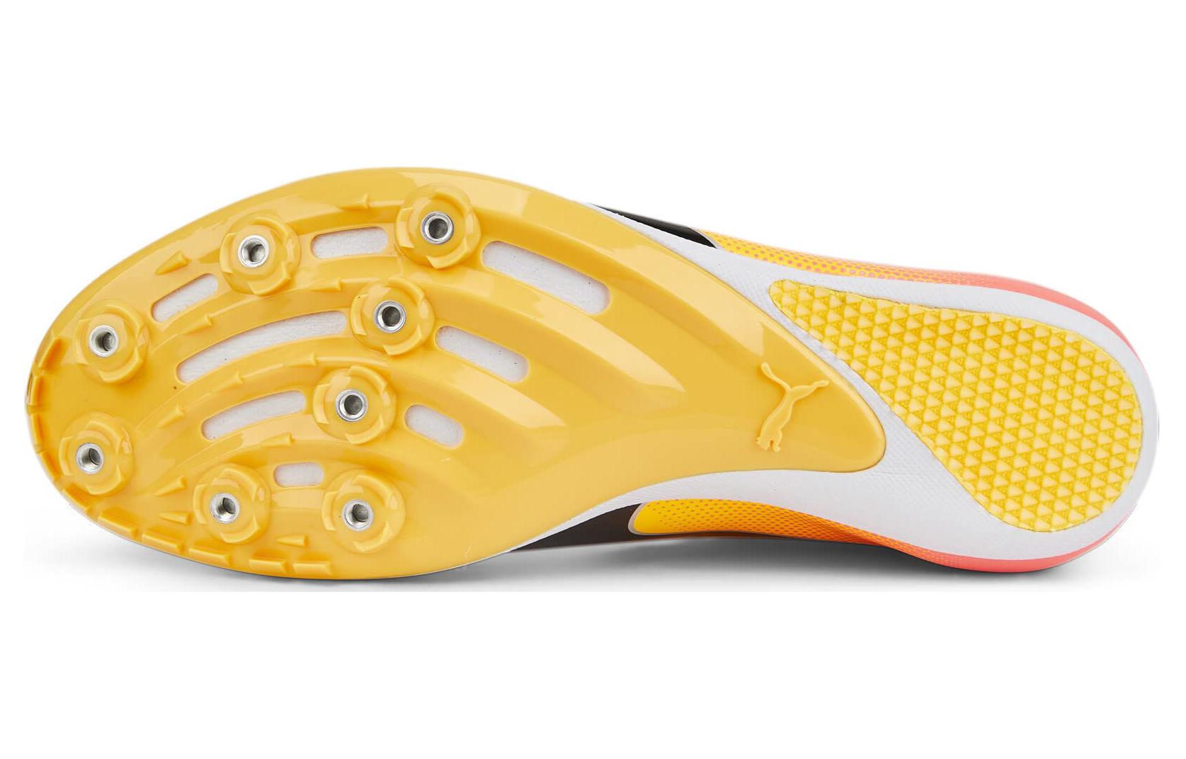Шиповки мужские Puma EvoSpeed Long Jump 10, sun stream sunset glow, 44.5 EU
