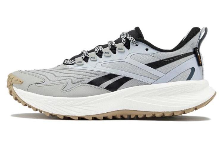 Кроссовки женские Reebok Floatride Energy 5 Adventure серо-белые