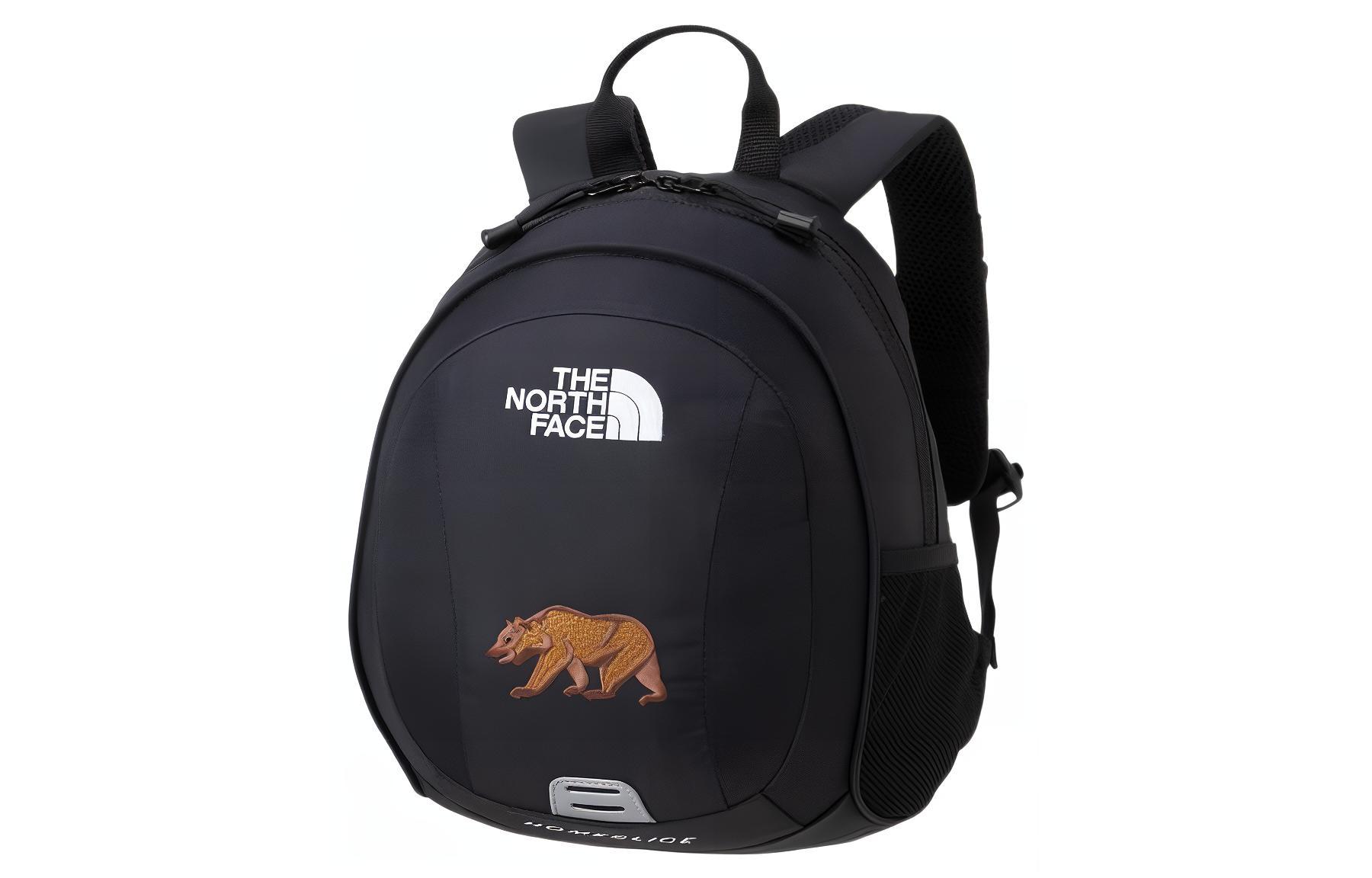 Сумка унисекс THE NORTH FACE NMJ72361-K черная