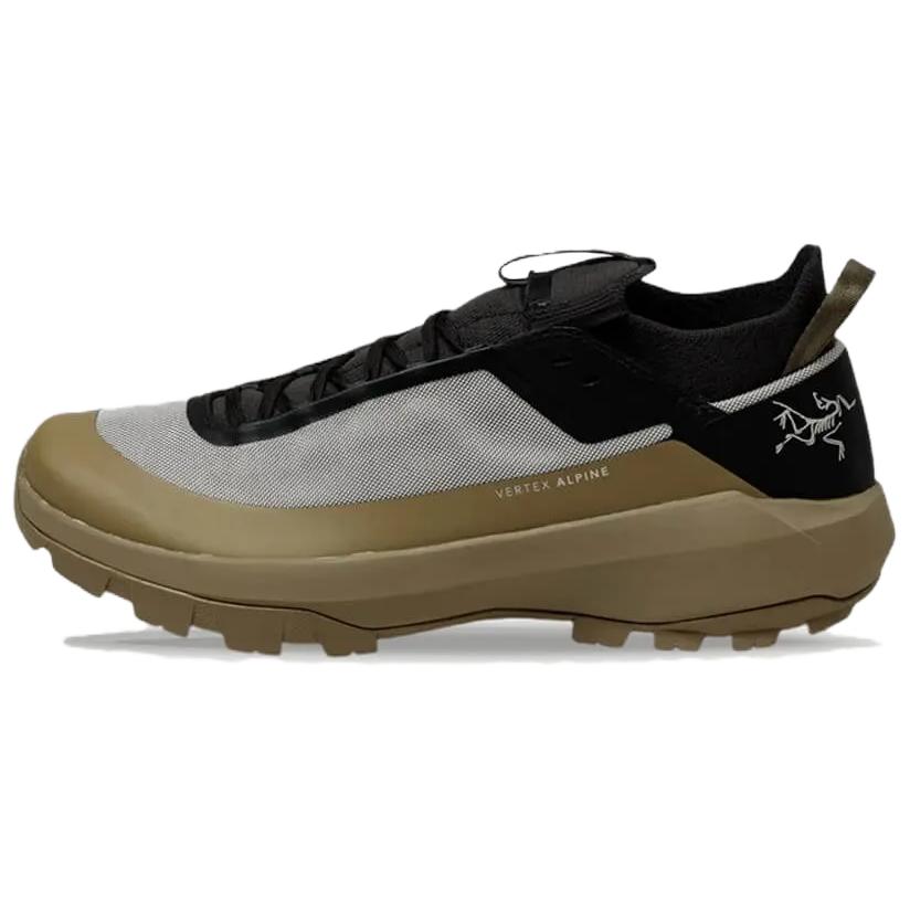 Спортивные ботинки мужские Arcteryx Vertex Alpine коричневые и серые, 44 EU