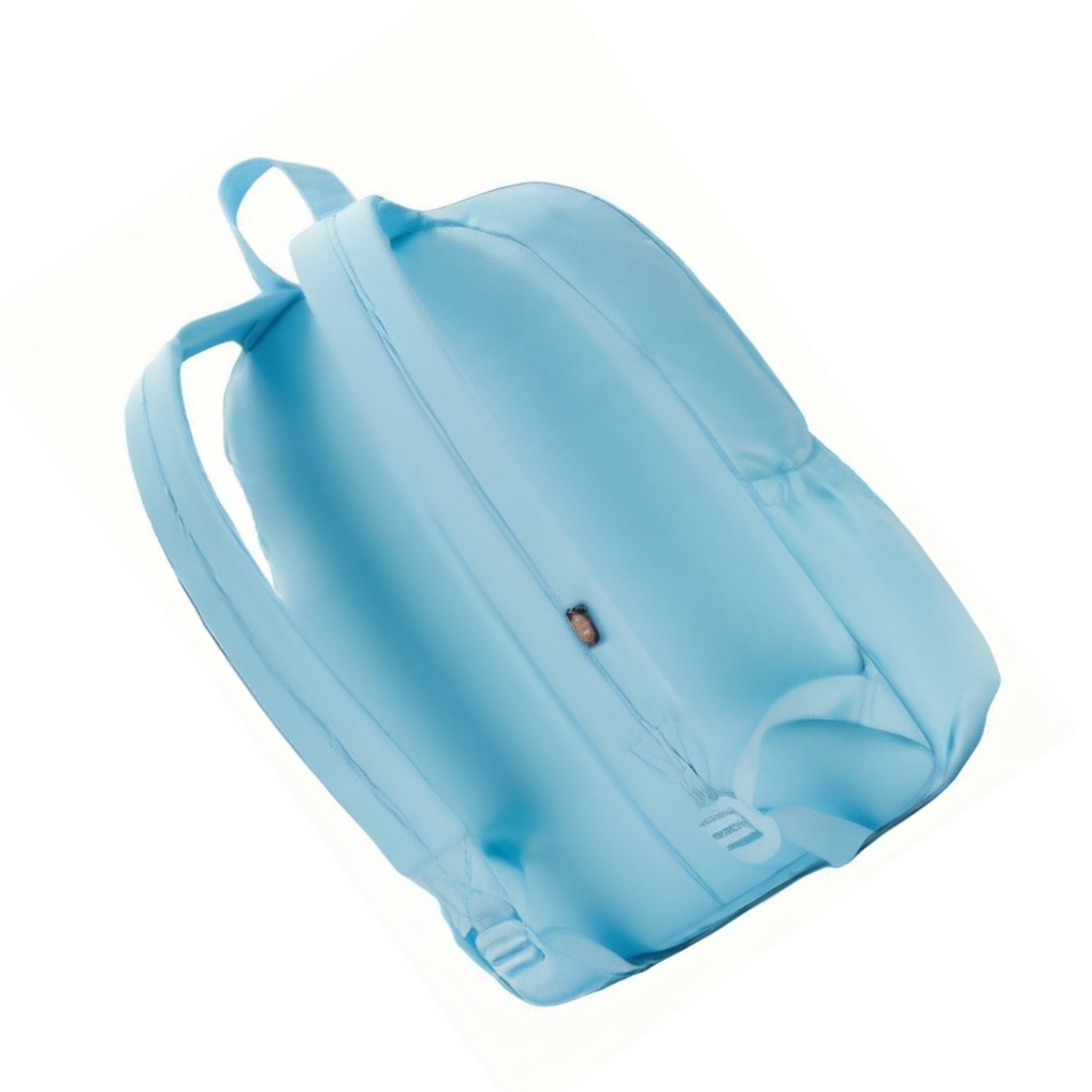 Рюкзак унисекс Dickies DK008935-E65, sky blue