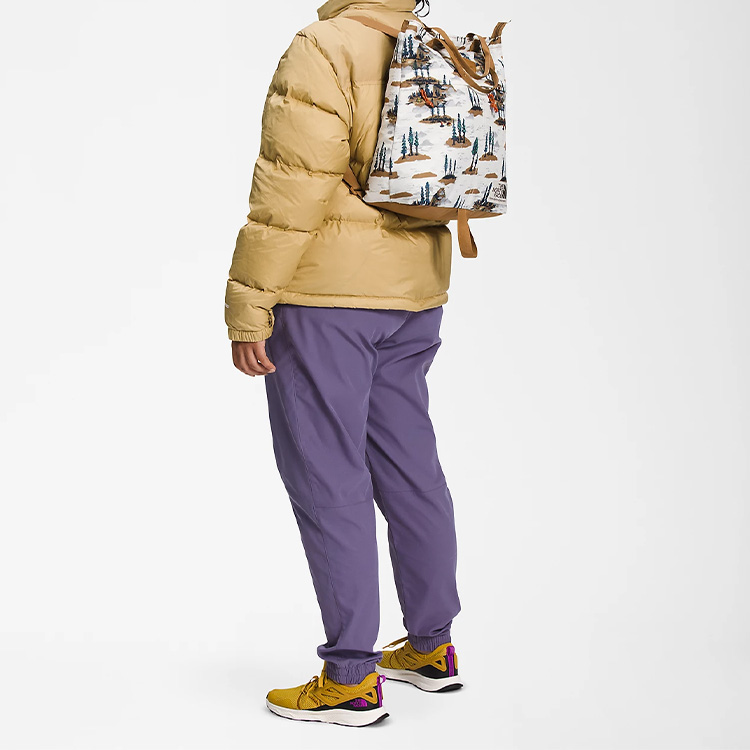 Сумка унисекс THE NORTH FACE NF0A52VS-IS9 многоцветная