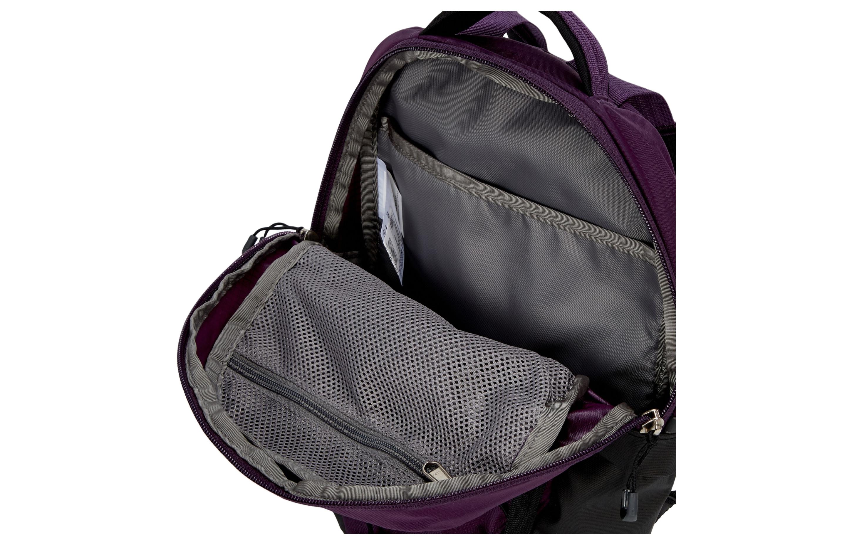 Рюкзак унисекс THE NORTH FACE Borealis 4L, фиолетовый, размер: Mini EU