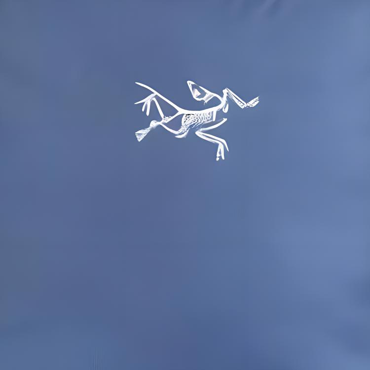 Рюкзак унисекс Arcteryx 10L, blue