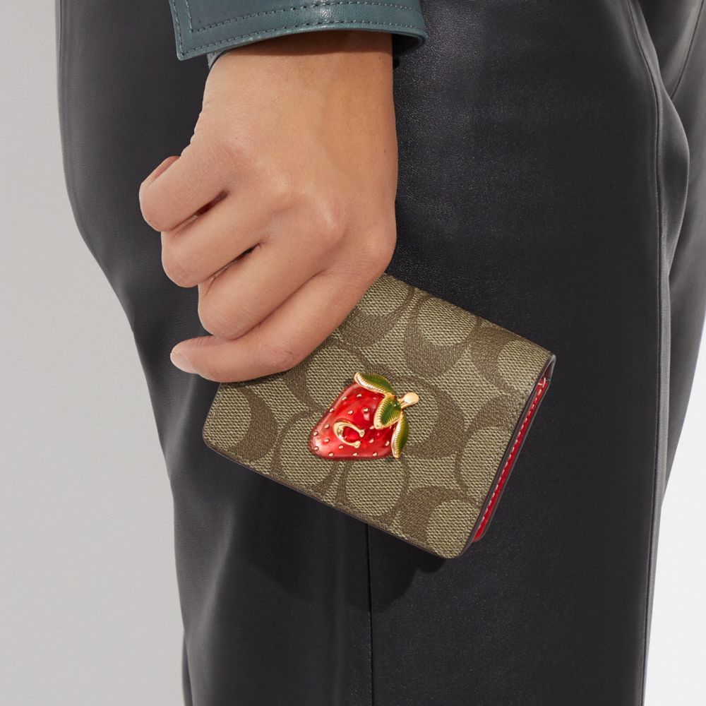 Кошелек женский COACH 1713808 коричневый и красный