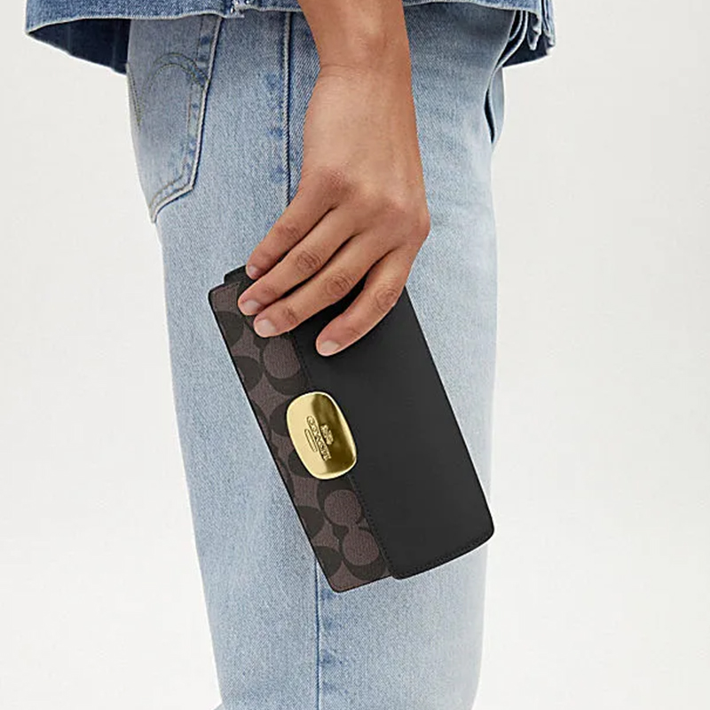 Сумка женская COACH Eliza Patchwork коричнево-черная, Basic Set (Bag+Dust Bag) EU