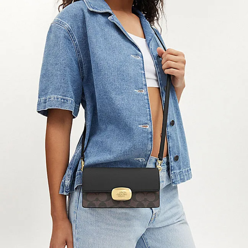 Сумка женская COACH Eliza Patchwork коричнево-черная, Basic Set (Bag+Dust Bag) EU