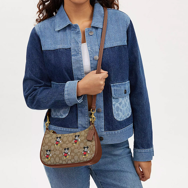 Сумка женская COACH Disney Teri коричневая, Basic Set (Bag+Dust Bag) EU