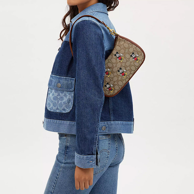 Сумка женская COACH Disney Teri коричневая, Basic Set (Bag+Dust Bag) EU